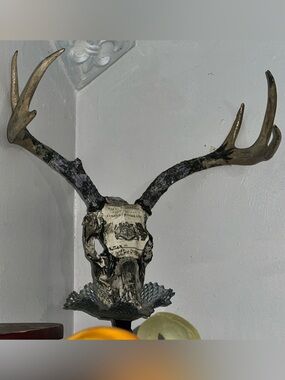Decorative Antler Skull Wall Art - Black and Ivory